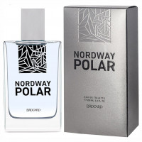 Туалетная вода мужская Nordway Polar 100мл 